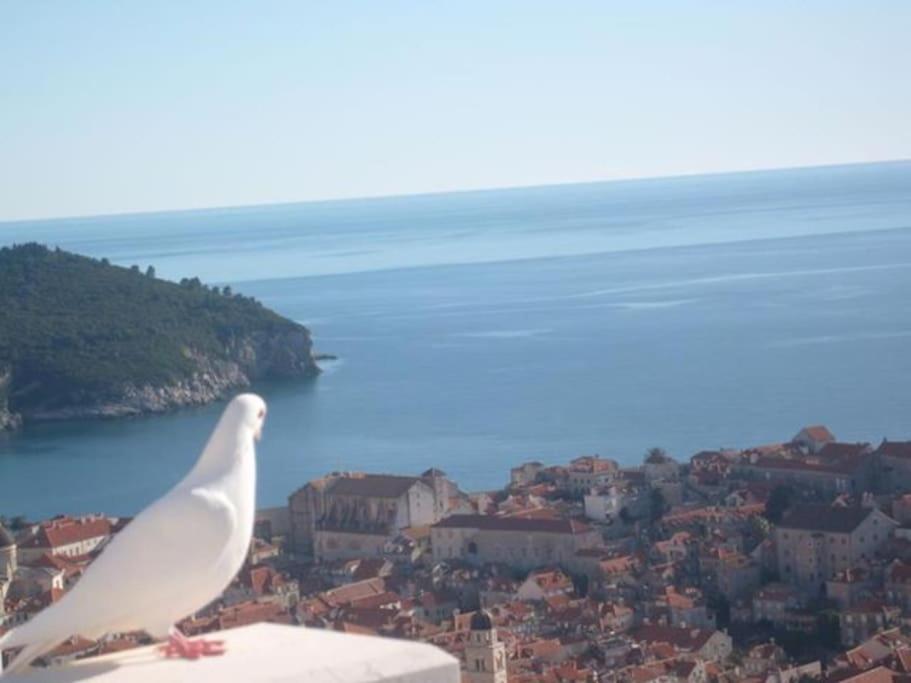 Romantic Ap,With Amazing View Дубровник Екстериор снимка